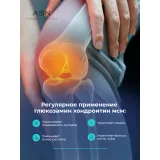 Упаковка: Глюкозамин Хондроитин МСМ, ASN PHARMACEUTICALS, 120 капсул