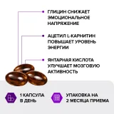 Упаковка: Фокус брейнер, Risingstar, гинкго билоба/витамины группы В/омега 3/глицин, мультивитамины при стрессе, для мозга, 800 мг. 60 шт