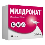 Упаковка: Милдронат, капсулы 250 мг, 40 шт.